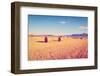 Hay Bales-gkuna-Framed Photographic Print