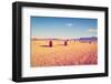 Hay Bales-gkuna-Framed Photographic Print