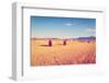 Hay Bales-gkuna-Framed Photographic Print