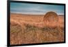 Hay bales-Belinda Shi-Framed Photographic Print