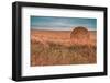 Hay bales-Belinda Shi-Framed Photographic Print