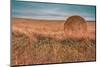 Hay bales-Belinda Shi-Mounted Photographic Print