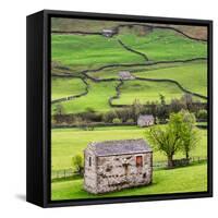 Hay Barns, Muker, Swaledale, Yorkshire Dales, Yorkshire, England, United Kingdom, Europe-Bill Ward-Framed Stretched Canvas