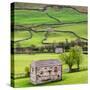 Hay Barns, Muker, Swaledale, Yorkshire Dales, Yorkshire, England, United Kingdom, Europe-Bill Ward-Stretched Canvas