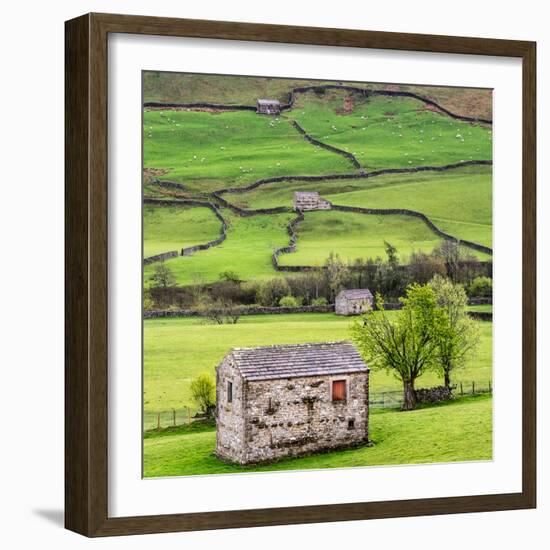 Hay Barns, Muker, Swaledale, Yorkshire Dales, Yorkshire, England, United Kingdom, Europe-Bill Ward-Framed Photographic Print