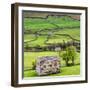 Hay Barns, Muker, Swaledale, Yorkshire Dales, Yorkshire, England, United Kingdom, Europe-Bill Ward-Framed Photographic Print