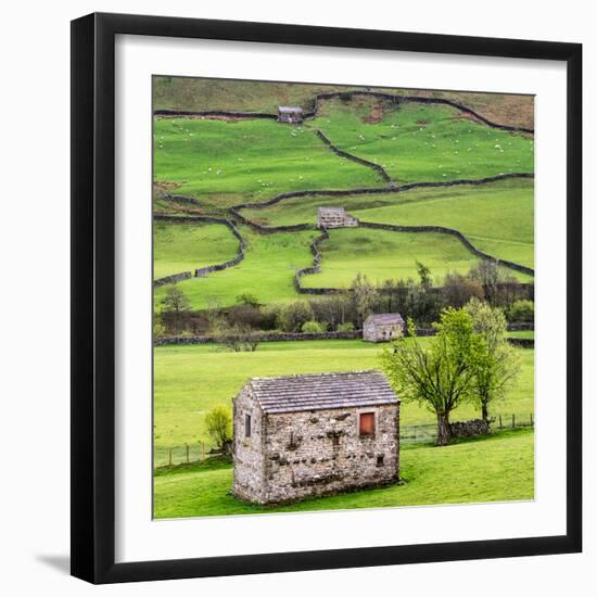 Hay Barns, Muker, Swaledale, Yorkshire Dales, Yorkshire, England, United Kingdom, Europe-Bill Ward-Framed Photographic Print