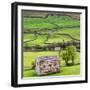 Hay Barns, Muker, Swaledale, Yorkshire Dales, Yorkshire, England, United Kingdom, Europe-Bill Ward-Framed Photographic Print