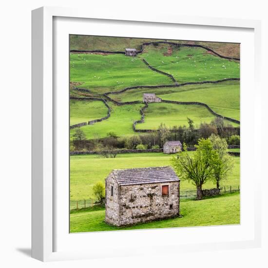 Hay Barns, Muker, Swaledale, Yorkshire Dales, Yorkshire, England, United Kingdom, Europe-Bill Ward-Framed Photographic Print