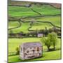 Hay Barns, Muker, Swaledale, Yorkshire Dales, Yorkshire, England, United Kingdom, Europe-Bill Ward-Mounted Photographic Print