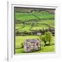 Hay Barns, Muker, Swaledale, Yorkshire Dales, Yorkshire, England, United Kingdom, Europe-Bill Ward-Framed Photographic Print