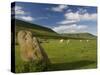 Hay Bluff, Near Hay on Wye, Brecon Beacons, Powys, Wales, United Kingdom, Europe-Rob Cousins-Stretched Canvas