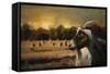 Hay Buffet-Jai Johnson-Framed Stretched Canvas