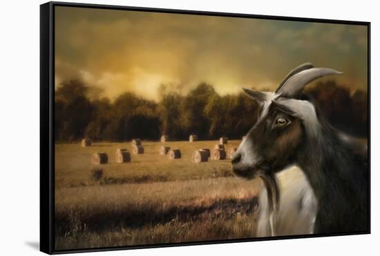 Hay Buffet-Jai Johnson-Framed Stretched Canvas