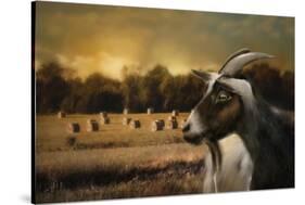 Hay Buffet-Jai Johnson-Stretched Canvas