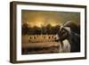 Hay Buffet-Jai Johnson-Framed Giclee Print