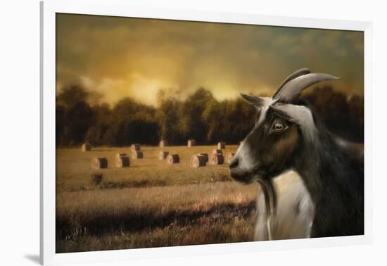 Hay Buffet-Jai Johnson-Framed Giclee Print