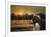 Hay Buffet-Jai Johnson-Framed Giclee Print