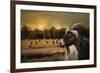 Hay Buffet-Jai Johnson-Framed Giclee Print