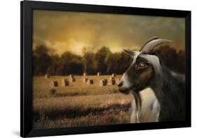 Hay Buffet-Jai Johnson-Framed Giclee Print