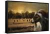 Hay Buffet-Jai Johnson-Framed Stretched Canvas