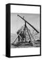 Hay Derrick-Dorothea Lange-Framed Stretched Canvas