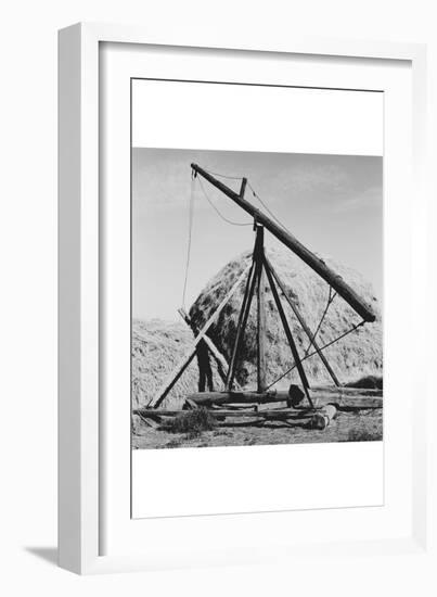 Hay Derrick-Dorothea Lange-Framed Art Print