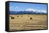 Hay Field in the Landscape, Patagonia, Argentina-Peter Groenendijk-Framed Stretched Canvas
