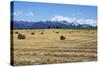 Hay Field in the Landscape, Patagonia, Argentina-Peter Groenendijk-Stretched Canvas