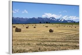 Hay Field in the Landscape, Patagonia, Argentina-Peter Groenendijk-Framed Photographic Print