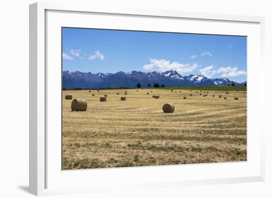 Hay Field in the Landscape, Patagonia, Argentina-Peter Groenendijk-Framed Photographic Print