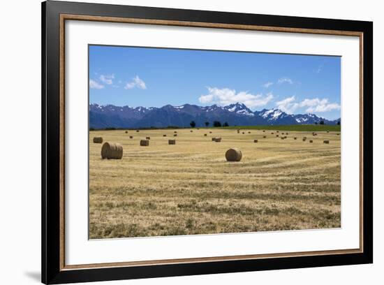 Hay Field in the Landscape, Patagonia, Argentina-Peter Groenendijk-Framed Photographic Print