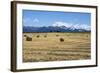 Hay Field in the Landscape, Patagonia, Argentina-Peter Groenendijk-Framed Photographic Print