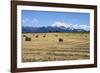 Hay Field in the Landscape, Patagonia, Argentina-Peter Groenendijk-Framed Photographic Print