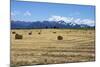 Hay Field in the Landscape, Patagonia, Argentina-Peter Groenendijk-Mounted Photographic Print