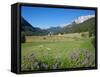 Hay Field Near Canazei, Canazei, Trentino-Alto Adige, Italy, Europe-Frank Fell-Framed Stretched Canvas