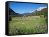 Hay Field Near Canazei, Canazei, Trentino-Alto Adige, Italy, Europe-Frank Fell-Framed Stretched Canvas