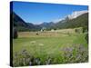 Hay Field Near Canazei, Canazei, Trentino-Alto Adige, Italy, Europe-Frank Fell-Stretched Canvas