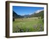 Hay Field Near Canazei, Canazei, Trentino-Alto Adige, Italy, Europe-Frank Fell-Framed Photographic Print