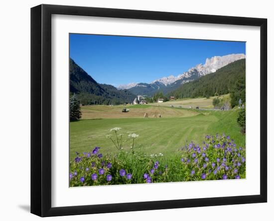 Hay Field Near Canazei, Canazei, Trentino-Alto Adige, Italy, Europe-Frank Fell-Framed Photographic Print