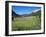 Hay Field Near Canazei, Canazei, Trentino-Alto Adige, Italy, Europe-Frank Fell-Framed Photographic Print