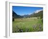 Hay Field Near Canazei, Canazei, Trentino-Alto Adige, Italy, Europe-Frank Fell-Framed Photographic Print