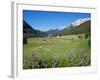 Hay Field Near Canazei, Canazei, Trentino-Alto Adige, Italy, Europe-Frank Fell-Framed Photographic Print