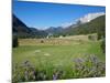 Hay Field Near Canazei, Canazei, Trentino-Alto Adige, Italy, Europe-Frank Fell-Mounted Photographic Print