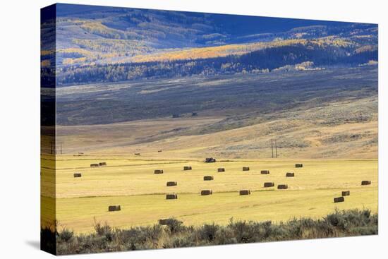 Hay Fields Outside of Steamboat Springs, Colorado-Maresa Pryor-Stretched Canvas