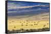 Hay Fields Outside of Steamboat Springs, Colorado-Maresa Pryor-Framed Stretched Canvas