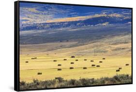 Hay Fields Outside of Steamboat Springs, Colorado-Maresa Pryor-Framed Stretched Canvas