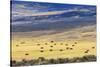 Hay Fields Outside of Steamboat Springs, Colorado-Maresa Pryor-Stretched Canvas