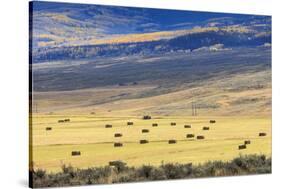 Hay Fields Outside of Steamboat Springs, Colorado-Maresa Pryor-Stretched Canvas