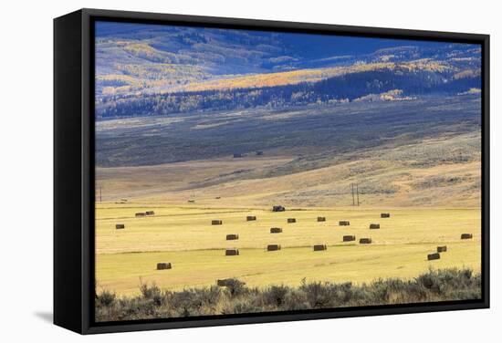 Hay Fields Outside of Steamboat Springs, Colorado-Maresa Pryor-Framed Stretched Canvas